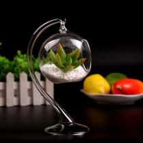 New creative European style flat bottom transparent glass hook micro landscape accessories decorations home accessories
