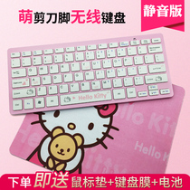 Notebook Desktop computer External USB mini Home office KT Cat wired keypad Wireless mute