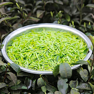 林湖雀舌毛尖绿茶茶叶100g[20元优惠券]-寻折猪