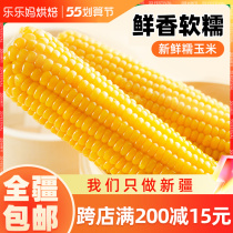Xinjiang Glutinous Corn Fresh Breakfast Coarse Grain Quick-Freeze Vacuum Independent Packaging Sweet Glutinous Rice Stick Ready-to-eat Fresh