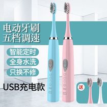 Hilton electric toothbrush adult non-rechargeable sonic Super Automatic student men and women couple soft hair toothbrush