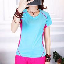 Sports short-sleeved womens summer new running fitness quick-drying T-shirt breathable outdoor top women