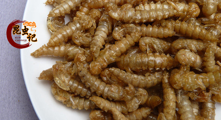 炸制金粉虫蛹 黄金蛹 香酥虫子美食 50克