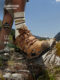 Lowa Hiking Shoes 남성용 로우 탑 전술 부츠가 아닌 방수가 아닌 방수되지 않은 통기성 야외 하이킹 신발 봄과 여름 Lowa Hiking Shoes 남성용 로우 탑 전술 부츠가 아닌 방수가 아닌 방수되지 않은 통기성 야외 하이킹 신발 봄과 여름