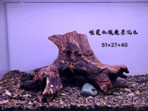 Fish tank decoration Rhododendron root sinking wood tree root landscaping Water ficus wood moss tree real water grass branch tree head