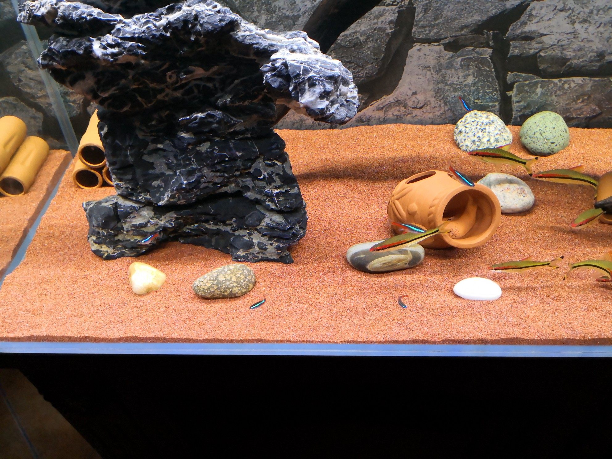 太行红沙鱼缸底砂造景沙红色细沙子化妆沙鼠鱼沙南美缸热带雨林沙