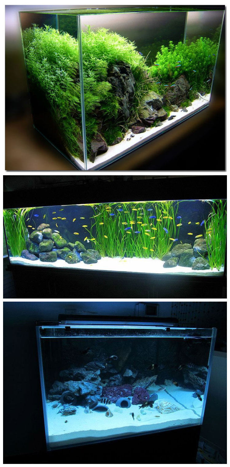 鱼缸造景 园艺装饰 场地布景等 【规格】2毫米颗粒 【必读】白沙由