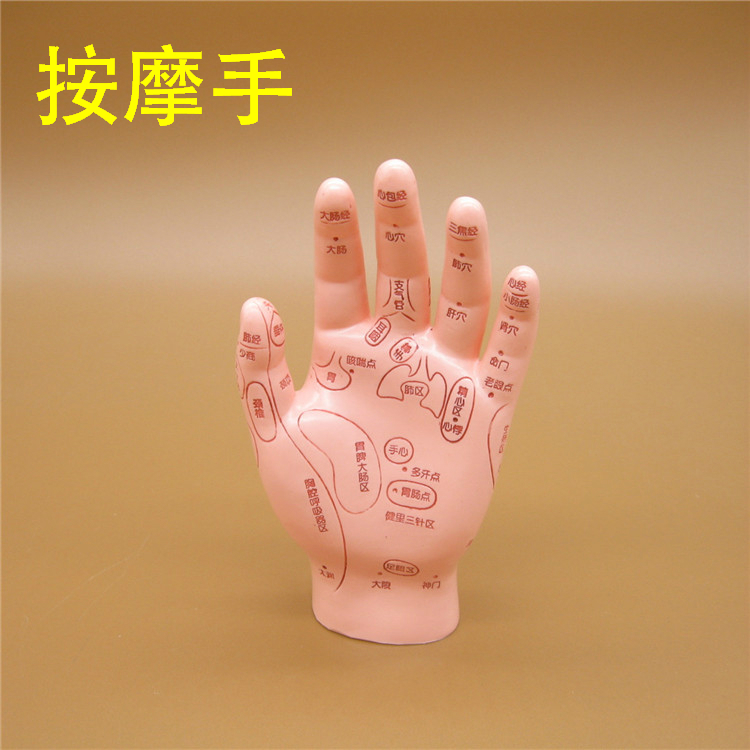 家用伟叶高清手部反射区穴位模型手掌按摩点穴推拿模具刻字手模特