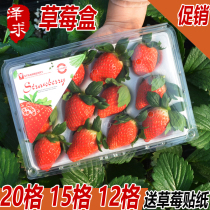 Strawberry box gift box Express transparent packaging box high-grade foam with label strawberry special packing box