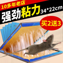 Coling insect control mouse paste super strong mouse board mouse trap mousetrap catch big mouse board household rodent artifact
