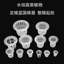 Hydroponic plant vegetable planting basket (whole box) balcony soilless cultivation planting Cup deepened root fixation device