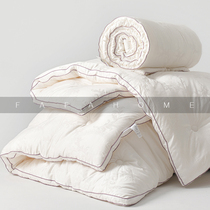 FAFAHOME light luxury cashmere protein quilt core autumn and winter is thickened warm and breathable spring and autumn air conditioning quilt