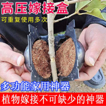 Fruit Tree Transplant Culture Instrumental Plant High Pressure Propagation Box Control Root Instrumental Fruit Tree Cuttage Grafting Nursery Root Box Branches