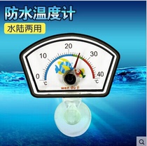 Pointer type fish tank water temperature meter Turtle tank thermometer Submersible suction cup thermometer