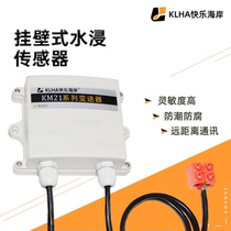 RS485 water immersion sensor immersion transmitter switch quantity Water Immersion Module leakage alarm controller
