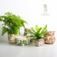 Her flower pot, flower pot, ceramic pottery glaze, succulent green plants, potted plant pattern, American country home gardening Her flower pot, flower pot, ceramic pottery glaze, succulent green plants, potted plant pattern, American country home gardening
