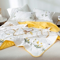 Summer cool quilt air-conditioned quilt pure cotton 100% cotton twill single double quilt core Summer thin section spring and Autumn quilt ultra-thin