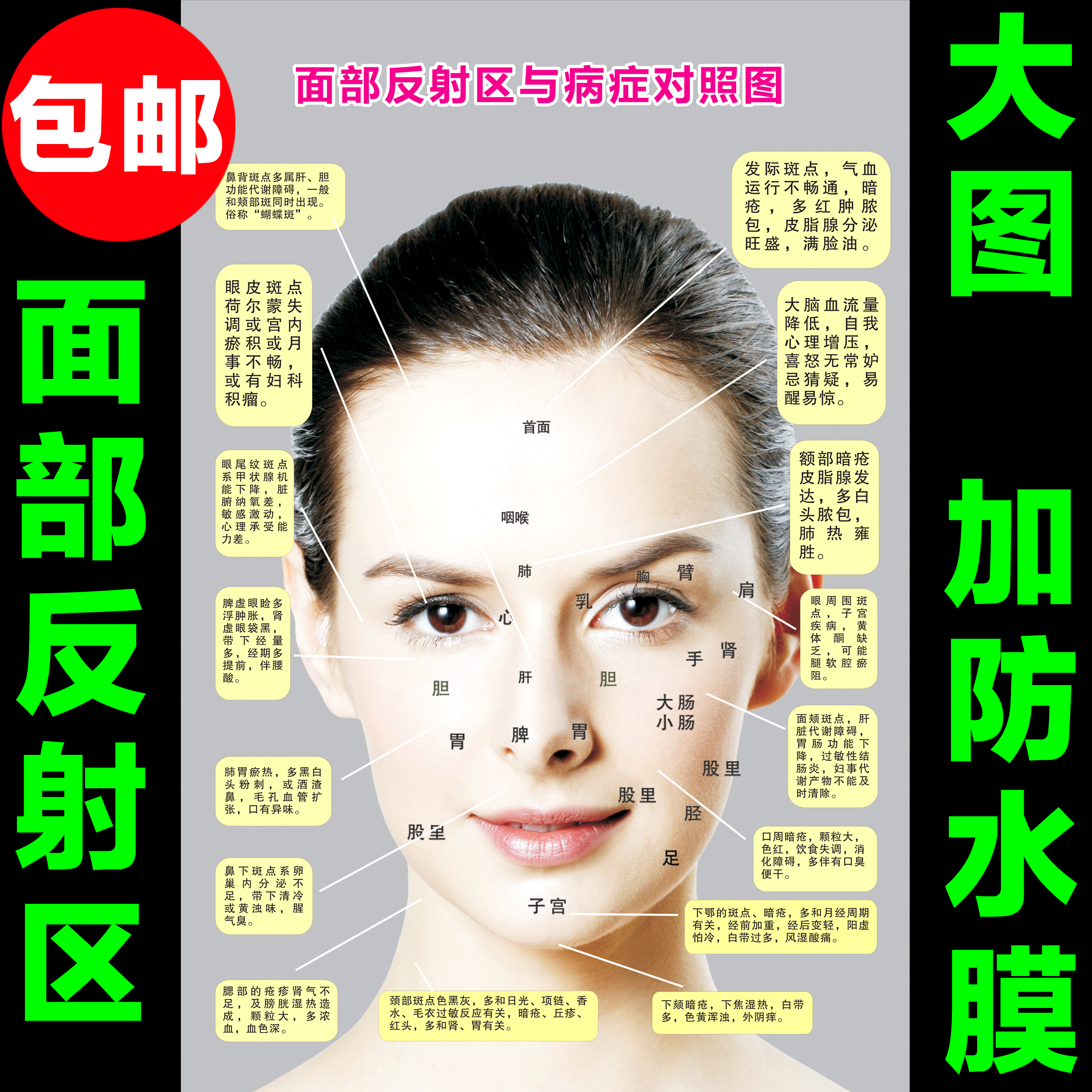 按摩脸部面部反射区美容院刮痧护理拨筋海报脸部人体穴位图挂图_7折