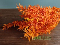 The Young Ingredients Green Leafy Green Leaf Small Leaves In Yongsheng Ingredients