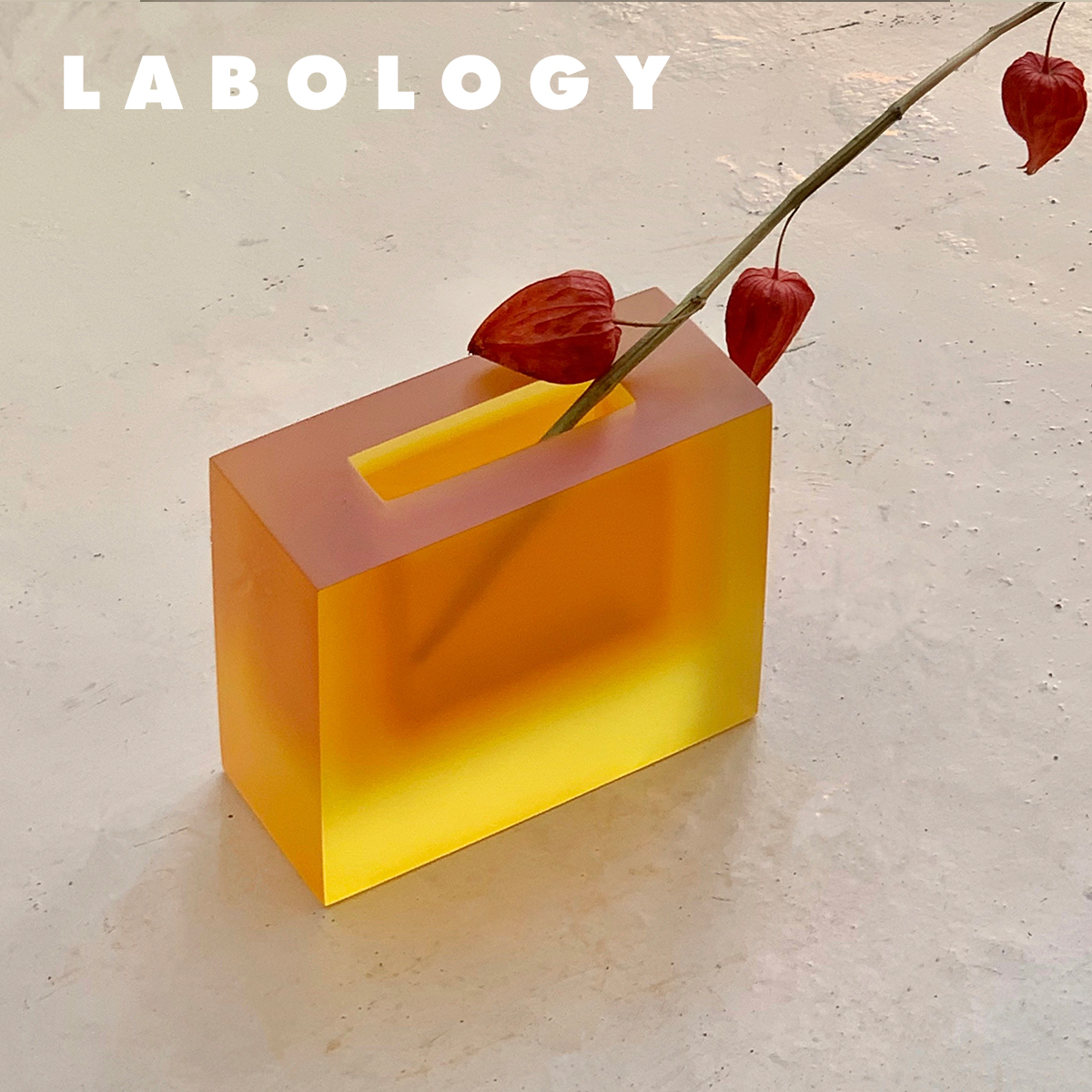 Labology New Products｜Placeinplace square vase Color cute decoration flower gift