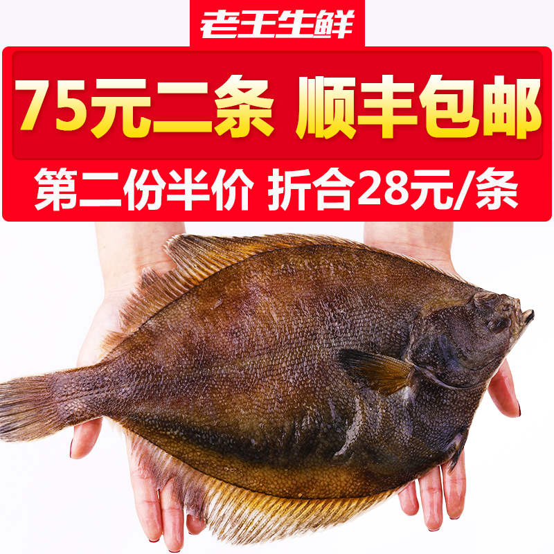 深海鲽鱼整条大比目鱼新鲜冷冻新鲜碟鱼2条深海鱼鲜活冷冻多宝鱼