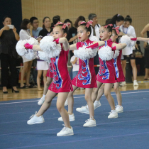 Custom lesbian gymnastics clothing cheerleading performance clothing cheerleading clothing competitive aerobics clothing new 19 women and men