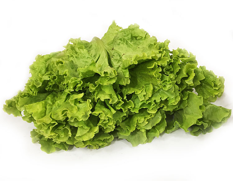 新鲜花叶生菜500g 新鲜蔬菜 鸡窝菜 武汉满百包邮 特菜 青菜m05913图片