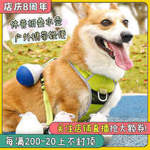 Huupe Drip Cat Kettle Pet Dog Outdoor Portable water bottle Bago Diesel