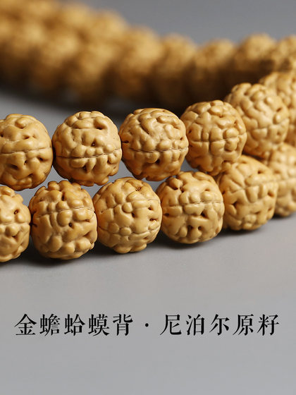 Little Vajra Bodhizi는 황금색 두꺼비와 함께 팔찌를 곁들인 팔찌를 보유 Little Vajra Bodhizi는 황금색 두꺼비와 함께 팔찌를 곁들인 팔찌를 보유