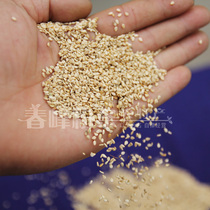 (Chunfeng) New white sesame raw sesame seeds with skin authentic farm self-produced sesame oil 500g