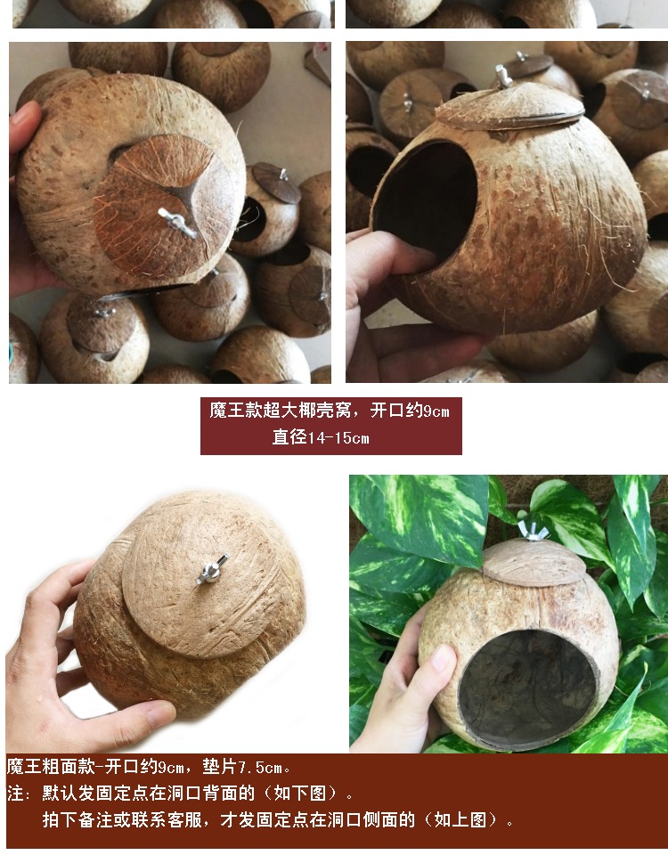 创意椰壳鸟窝椰子壳鸟笼鸟巢鸟窝仓鼠蜜袋繁殖窝松鼠窝摆件装饰屋
