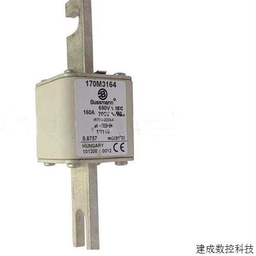 협상 가능한 Bussmann Fuse 170M3164 160A 690V AR 직접 샷 협상 가능한 Bussmann Fuse 170M3164 160A 690V AR 직접 샷