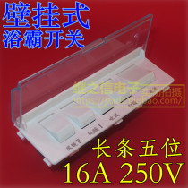 Wall-mounted universal bath switch 16A High Power 5-on heater waterproof switch five-way five open panel