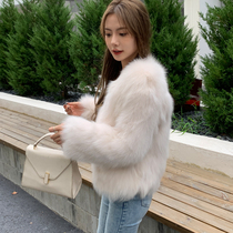 Haining new winter 2022 leather fox fur coat women's short genuine hair slim coat young