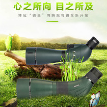 BOSMA Bird Bird second generation zoom monocular ED bird watching mirror 25-50X82 30-60X95 multi-function viewing
