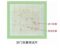 Pathogenic bacteria detection Salmonella Oasis test piece 24 tablets package BS205 microbial detection