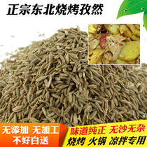 Xinjiang cumin BBQ cumin no sand particles cumin shao kao liao new 50g 10 parts