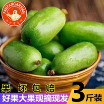 Dandong soft jujube kiwi fruit fresh fruit Kiwi Berry Dragon City 2 wild soft jujube pregnant woman fruit round jujube dog jujube