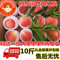 Dandong Yan red peach estuarine Peach Peach hairy peach big swallow red peach fresh fruit gift box 10kg