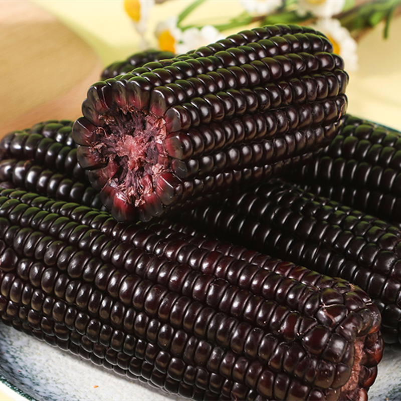 滇东西云南西双版纳香糯小玉米一箱