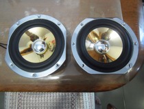 HPS 6 5 inch mid-woofer pair