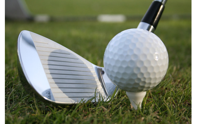 阳光高尔夫,它们陪你玩到嗨