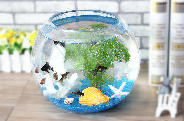 海星树脂造景特价水族箱五指小鱼缸装饰摆件创意家居摆件送礼品