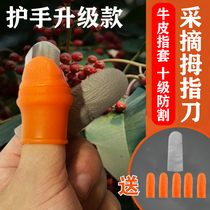 Anti-prickly prickly pepper special hand fingertip Thumb Picker pick off the bean corner theorizer pinch pick and pick the vegetables to peel the nail