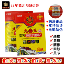 Baifu Tong Nine Poison King Chasing Wind Pain Sticker Lumbar Disc Tie Damage Neck Shoulder Waist and Leg Pain Cold Application