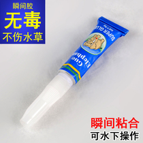 Aquarium instant glue water grass glue Moss glue Aquarium glue Fish tank coral glue MOSS glue Mo sericin
