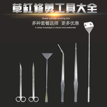 Stainless steel water grass clip straight bend tweezers straight bend scissors grass cylinder trimming tool set algae scraping knife