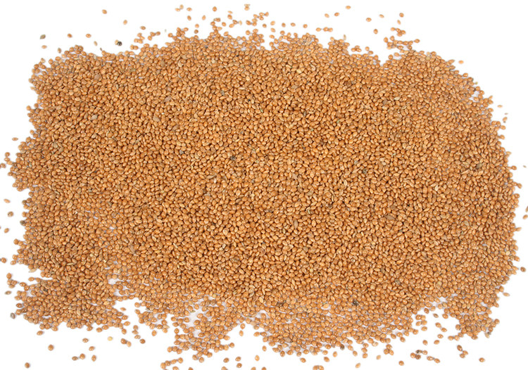 防褥疮垫子老人用糜褥子瘫痪护理糜子垫非气垫床气床垫兰州当天送