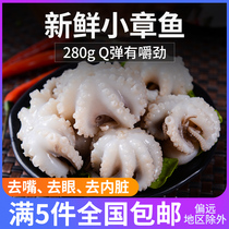 Beibei food laying fresh small eight-claw fish 280g small octopus frozen seafood hot pot ingredients Macau bean fish for food