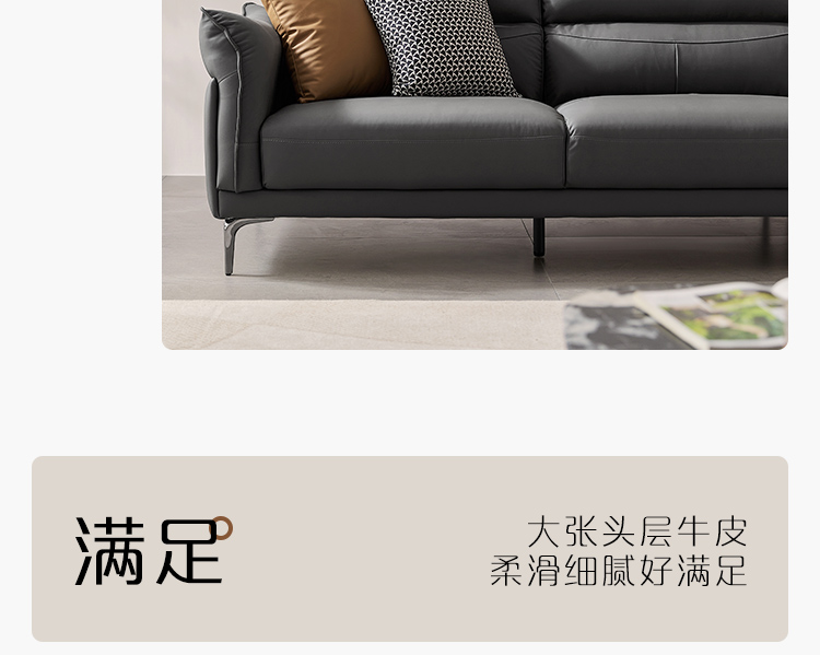 PS026 Кожаный диван -750_04.jpg